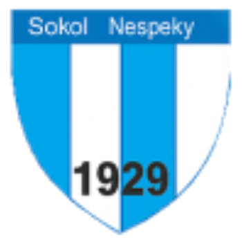 TJ Sokol Nespeky A — The kings of the Central Bohemian Region. While outside the top flight, their inclusion is a mandatory nod to true football heritage.